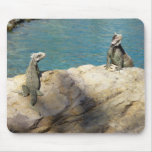 Pair of Iguanas Mousepad