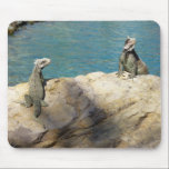 Pair of Iguanas Mousepad