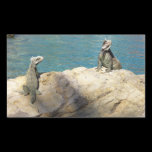 Pair of Iguanas Sticker