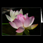 Pair of Lotus Flowers Card