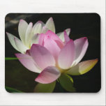 Pair of Lotus Flowers Mousepad