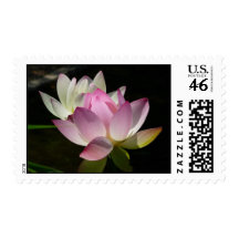 Pair of Lotus Flowers Stamps