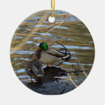 Pair of Mallard Ducks on Shore's Edge Ornament