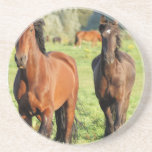 Pair of Morgans Coaster