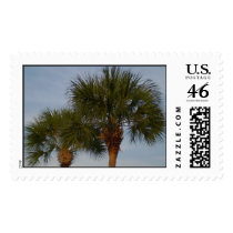 Pair of palm trees stamp by bonnievoyage Pair of palm trees stamp
