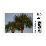 Pair of palm trees stamp