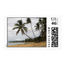 Pair of Palms postage by mrulon23 Pair of Palms postage