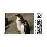 Pair of Penguin Postage Stamps