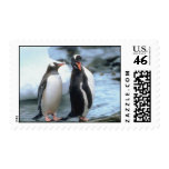 Pair of Penguins Stamp Pair of Penguins Stamp