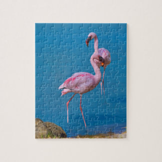 Flamingo Jigsaw Puzzles | Zazzle