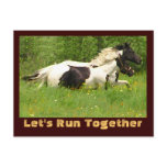 Pair of Pintos Postcards