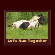 Pair of Pintos Postcards