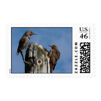 Pair of Pole Dancing Birds stamp
