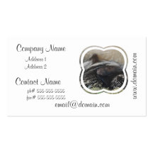 Pair of Porcupines Business Card