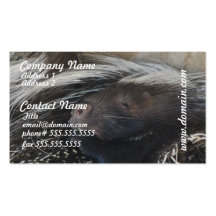 Pair of Porcupines Business Cards