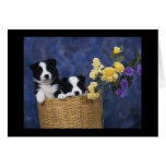 Pair of Puppies in a Basket Card