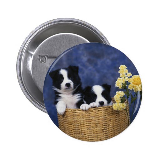 Pair of Puppies in a Basket Pins