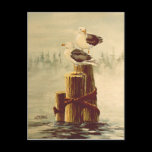 PAIR of SEAGULLS by SHARON SHARPE postcards