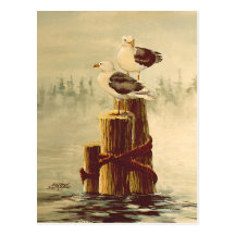 PAIR of SEAGULLS by SHARON SHARPE Postcard