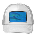 Pair of Sharks Baseball Hat