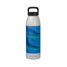Pair of Sharks Water Bottle