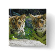 Pair of Tiger Cubs Portrait Pinback Buttons