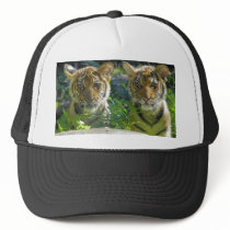 Pair of Tiger Cubs Portrait Hats