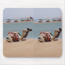 Pair Of Traditional Camels Sitting At The Beach. Mousepads