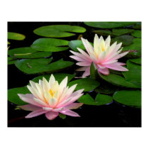 Pair of Water Lilies posters
