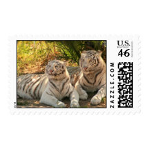Pair of White Tigers Postage Stamp