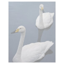 Pair of whooper swans, Peakirk Waterfowl Gardens Letterhead Design