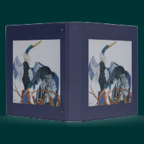 Pair ofAnhinga's binders