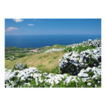 Paisaje con los hydrangeas comunicados