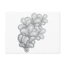 Paisley postcards