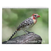 Pájaro Calaender 2013-2014 Calendario