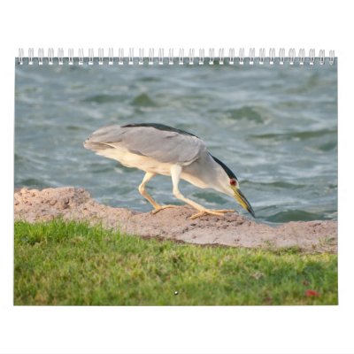 pájaro en calendario de la hierba pájaro en calendario de la hierba