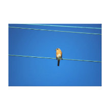Pájaro en un alambre lienzo envuelto para galerias