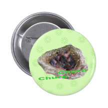 Pájaros de bebé pin