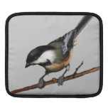 Pájaros, Wren, Chickadee: Arte a pulso del realism Funda Para iPads