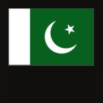 Pakistan Flag Map Spaghetti Top