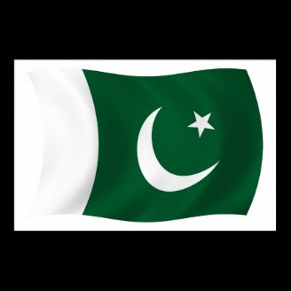 Pakistan Flag Poster Print