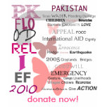 Pakistan Flood Relief - Female Option 1 Tee Shirt