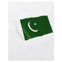 pakistan custom flyer