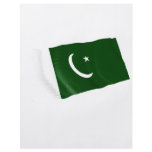 pakistan flyers