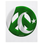 Pakistan flyers