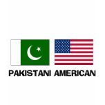 Pakistani American t-shirts