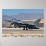 Pakistani Landing Print