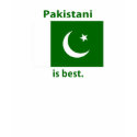 Pakistani T-shirt by Dustbuster Pakistani T-shirt