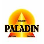 Paladin Woman's T Shirt