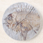Palaeopomacentrus Stone Beverage Coaster